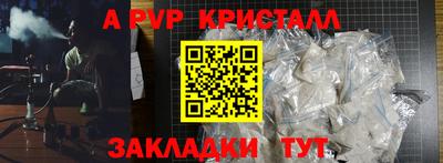 ешки Кингисепп