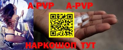 ешки Кингисепп